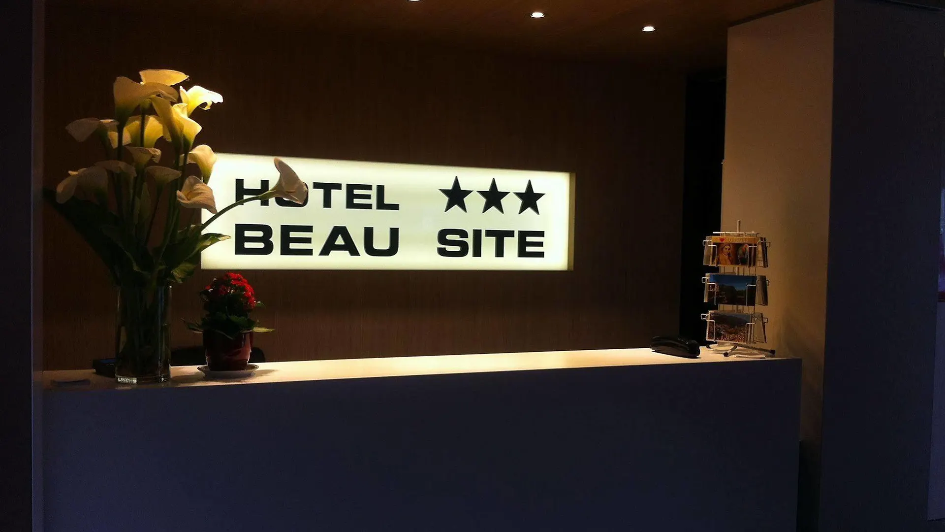 Hotel Beau Site Lourdes 3*,